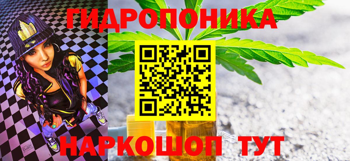 Шишки марихуана конопля Кострома